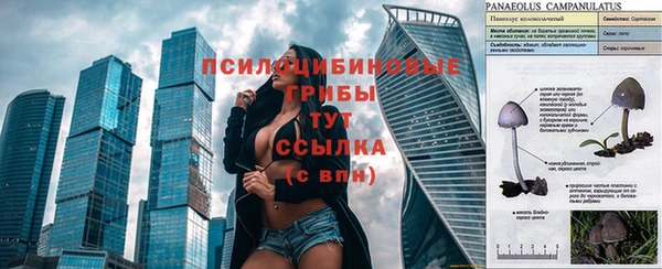 каннабис Ростов
