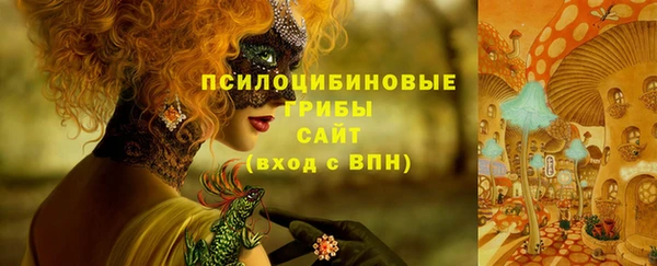 молекула духа Россошь