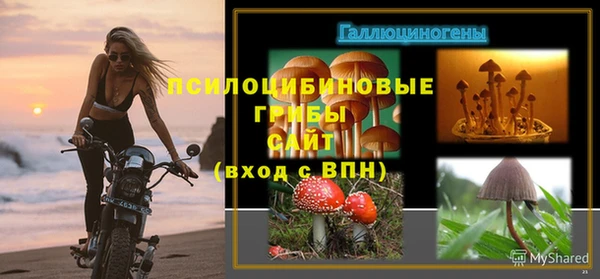 каннабис Ростов