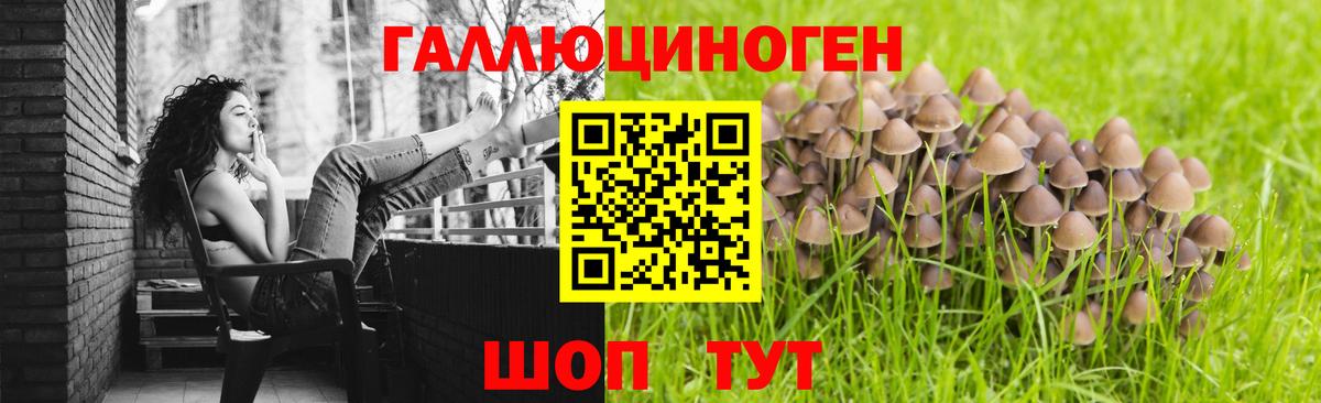 Псилоцибиновые грибы Magic Shrooms  Вход с VPN  Псилоцибиновые грибы Cubensis  Советск 